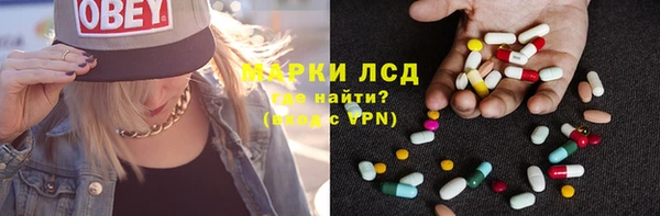 ГАЛЛЮЦИНОГЕННЫЕ ГРИБЫ Магас