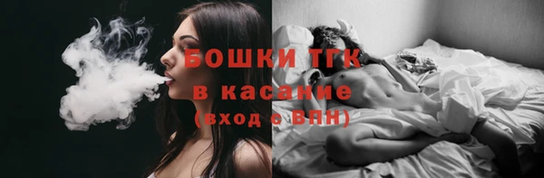 гидра Липки