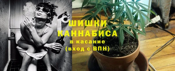 гидра Липки
