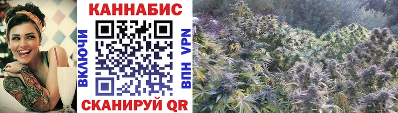 Купить закладки  Костерёво  Каннабис план 